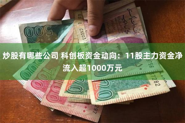 炒股有哪些公司 科创板资金动向：11股主力资金净流入超1000万元