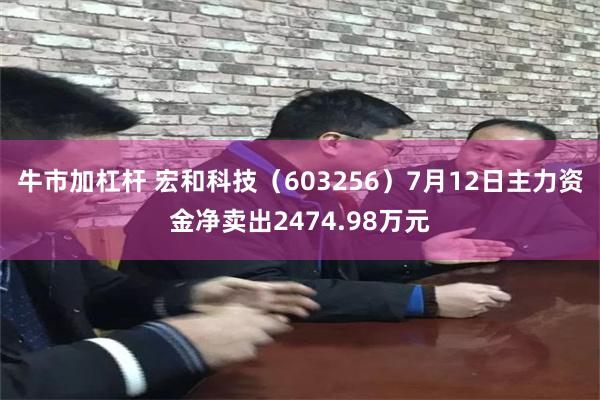 牛市加杠杆 宏和科技（603256）7月12日主力资金净卖出2474.98万元