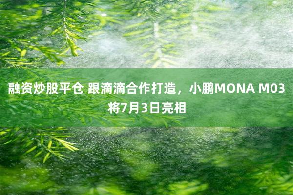 融资炒股平仓 跟滴滴合作打造，小鹏MONA M03将7月3日亮相