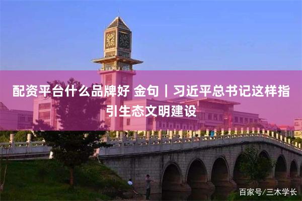 配资平台什么品牌好 金句｜习近平总书记这样指引生态文明建设