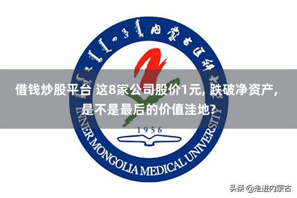 借钱炒股平台 这8家公司股价1元, 跌破净资产, 是不是最后的价值洼地?