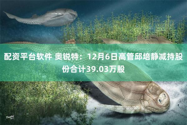 配资平台软件 奥锐特：12月6日高管邱培静减持股份合计39.03万股