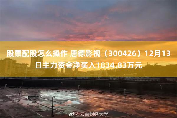 股票配股怎么操作 唐德影视（300426）12月13日主力资金净买入1834.83万元