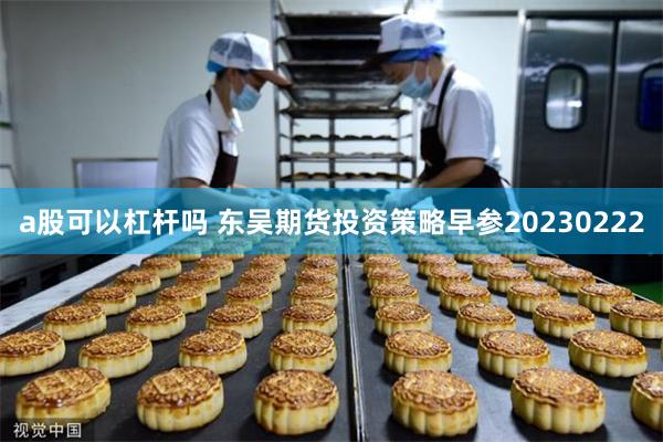 a股可以杠杆吗 东吴期货投资策略早参20230222